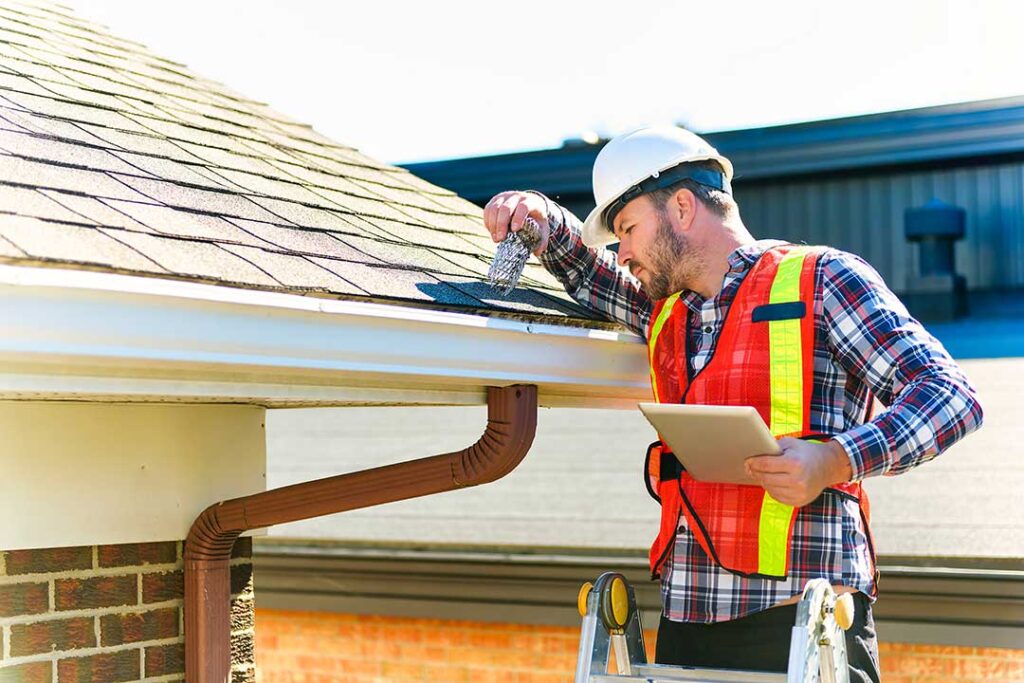 Person using a soft roof rake to remove leaves from shingles beside a ladder and gutter.
